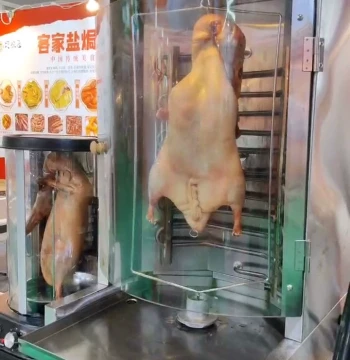 Extra-Large Roast Goose Oven, Electric Roaster, Char Siu Oven, Fish and Duck Roaster, Suckling Pig, Pigeon, Lamb Leg, and Pork Belly Gas Oven