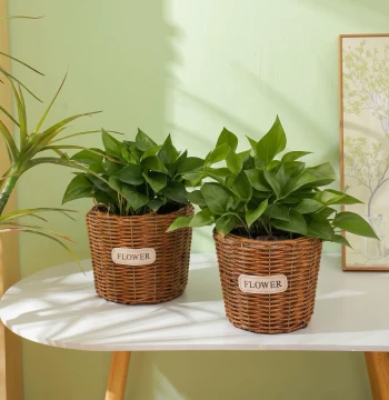 Handwoven Grass Basket, Rattan and Bamboo Woven Creative Flower Arrangement Basket for Dried Flowers, Succulents, and Orchids with Handle