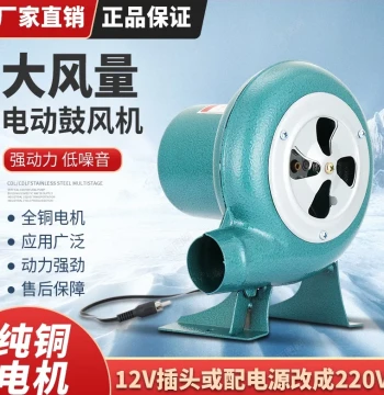 Outdoor BBQ Blower, 220V Single-Phase Variable Speed Fan, 12V DC Battery High-Airflow Blower