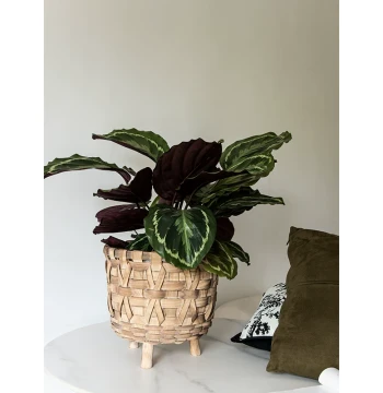Solid Wood Woven Flower Stand, Bamboo Basket for Desktop Home Storage, Bamboo-Wood Woven Basket for Green Plants and Floral Decoration