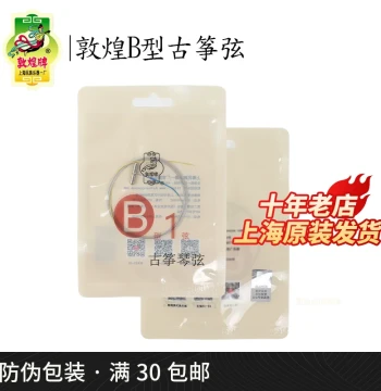 Dunhuang Brand Type B Performance Guzheng Strings for Model 163, Single Strings or Full Set (1-21) [Dunhuang Official Store]