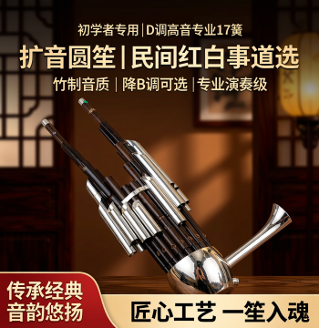Professional 17-Reed Sheng Instrument for Beginners, Key of D, High Pitch, Amplified Round Bamboo Sheng with Case for Folk Events (Key of Bb Included)