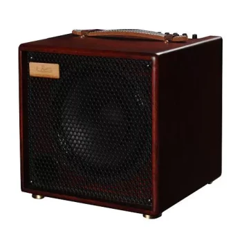 Lisheng LSM Free Man 100 I Acoustic Guitar Amplifier