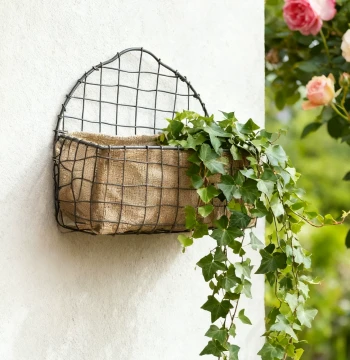 Garden Wall-Hanging Flower Basket - Wrought Iron Woven Planter for Succulents and Hanging Plants, Vintage Style