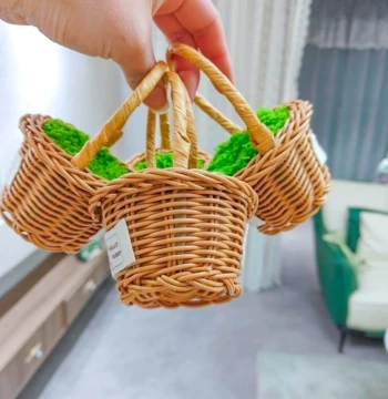 Teacher's Day Preserved Flower DIY Kit, Handmade Mini Basket Arrangement with Dried Flowers for Gift Making