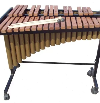 32-Note Rosewood Soprano Glockenspiel Percussion Instrument for Music Bidding, Schools, Equipment, and Early Education