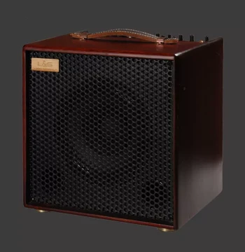 Lisheng LSM Free Man 100 II Acoustic Guitar Amplifier
