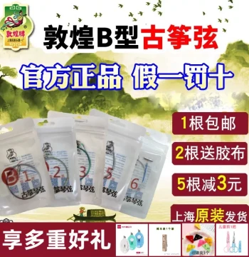 Dunhuang Guzheng Strings Type B - Genuine Strings No. 1-21 from Shanghai National Musical Instrument Factory No. 1