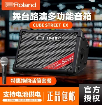 Roland CUBE STREET EX Portable Battery-Powered Stereo Amplifier for Guitar, Vocals, and Live Streaming with Bluetooth