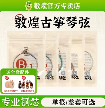 Dunhuang Guzheng Strings Type B (1-21) & Type A [Dunhuang Music Store]