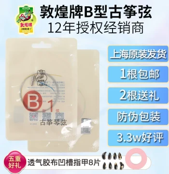Guzheng Strings, Dunhuang Type B Strings (1-21), Shanghai National Musical Instrument No. 1 Factory