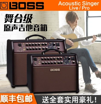 Roland Boss Acoustic Singer LIVE PRO Acoustic Guitar Amplifier for Folk Singing and Playing