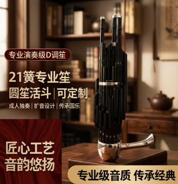 Professional 21-Reed Sheng Instrument in Key of D for Adult Solo Performance, Amplified Round Sheng with Customizable Air Chamber
