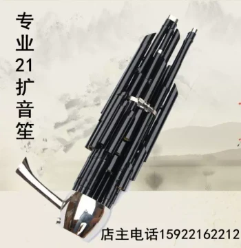 Professional 21-Reed Sheng with Built-in Amplification - Traditional Chinese Wind Instrument for Performance