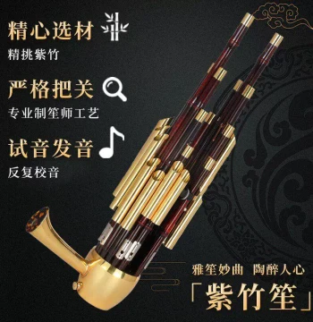 Hongyi Fengming Sheng Instrument 14/17/21 Reeds Beginner Professional Amplified Purple Bamboo Round/Square Sheng Factory Direct Performance