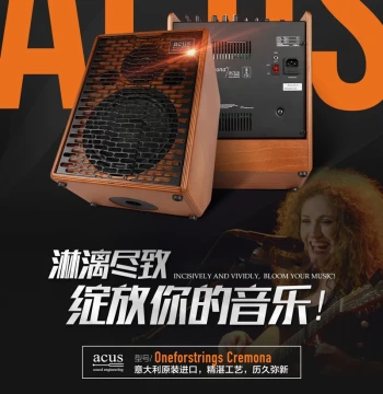 Original Italian ACUS Acoustic Amplifier - Electric Violin Exclusive Model Cremona