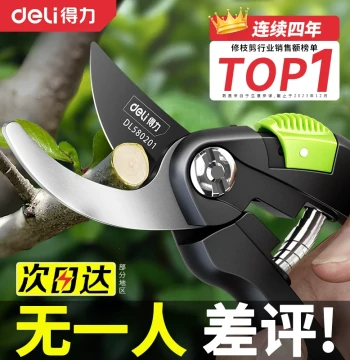 Deli Pruning Shears for Gardening, Floral Arrangement, Tree Branch Trimming, Fruit Trees, Professional Floral Scissors