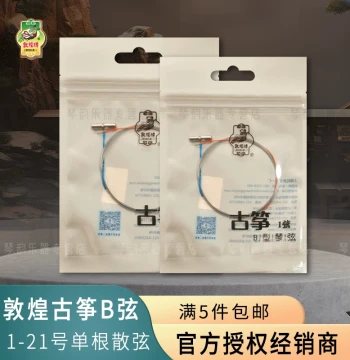 Authentic Dunhuang Guzheng Strings Type B (Strings 1-5), Full Set of 21 - Official Flagship Store