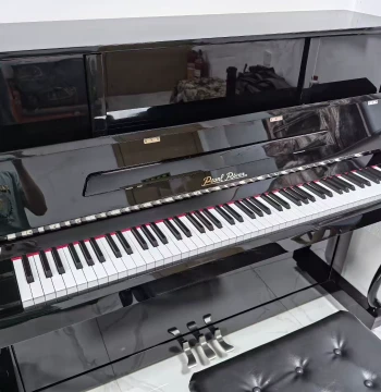 Pearl River Piano Acoustic Upright Piano for Professionals, Children, Home Use, Exams, Beginners, and Teaching, Model C2E 120
