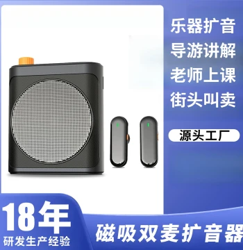 Portable Rechargeable Voice Amplifier with Dual Lapel Mics - High Volume, Feedback-Free for Outdoor Instrument Use