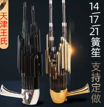 Tianjin Wang's Sheng Instrument - Wang's Folk Music 14-Reed Square Sheng, 17-Reed & 21-Reed Round Sheng, Amplified Sheng for Beginners and Performers
