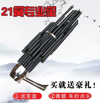 21-Reed Professional Sheng with Amplifier - Traditional Chinese Wind Instrument for Performance