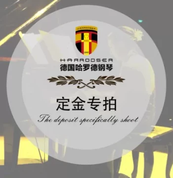German Harold Piano Deposit Listing - Pay Balance Upon Inspection, 7-Day No-Reason Return Supported