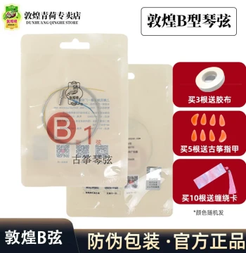 Dunhuang Genuine Guzheng Strings Set - Type B Performance Strings (Single or Full Set 1-21)