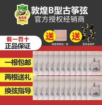 Guzheng Strings, Dunhuang Guzheng Strings Type B 1-21 Strings, Type B Strings, Shanghai National Musical Instrument No. 1 Factory Accessories