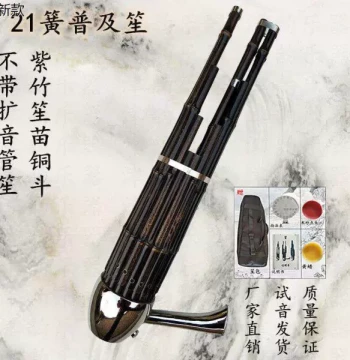 Hongsheng 21-Reed Amplified Traditional Sheng Instrument, CD Key, Purple Bamboo, for Children and Adult Beginners, High-End Performance Round Sheng