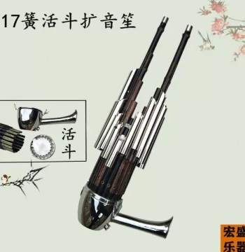 Douyi Instruments Sheng - Professional Loud Volume Sheng for Beginners and Performance, Red and White Options