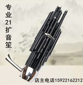 21-Reed Professional Sheng Amplified Sheng 21-Reed Professional Amplified Sheng Ethnic Wind Instrument for Performance