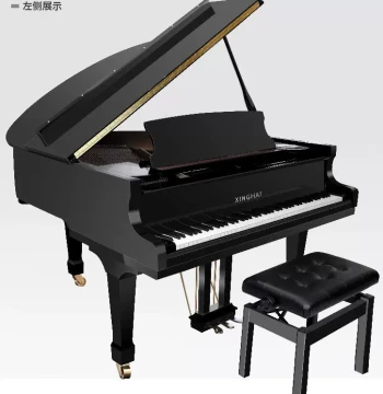 Xinghai Piano Optional Automatic Playback System