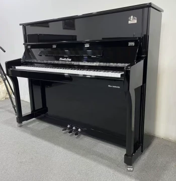 Hailun Wendl & Lung High-End Used Upright Piano - 90% New Solid Wood Piano for Home and Exams