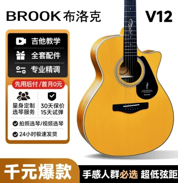 [Beginner Recommended] Guitar Intelligence Bureau Brook V12 Guitar for Beginners, S25 Model