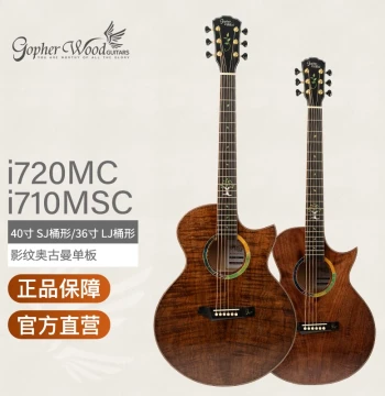 Gopherwood Korea 'Tree of Life' Acoustic Guitar - 40-inch i720MC Solid Wood Top for Men and Women Beginners
