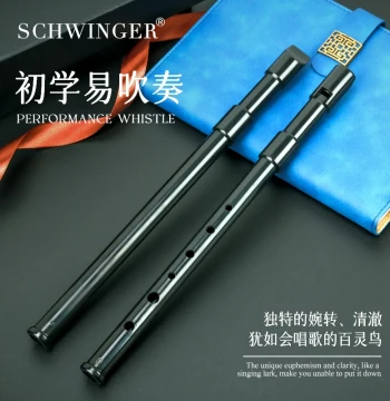 Schwinger Irish Tin Whistle – High D Key Penny Whistle for Beginners, Six-Hole Vertical Flute