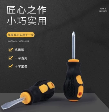 Magnetic Screwdriver Bits - Phillips and Flathead Chrome Vanadium Steel for Home Use, Mini Carrot-Head Screwdrivers