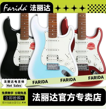 Farida F-5020 Electric Guitar Beginner Model