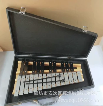 Selected 25-Key Aluminum Glockenspiel, Orff Percussion Instrument with Black and White Keys, Includes Case for Children