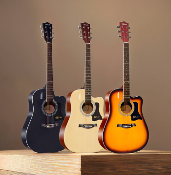 Weber Beginner Acoustic Guitar - Solid Wood Top for Men and Women Starting Out