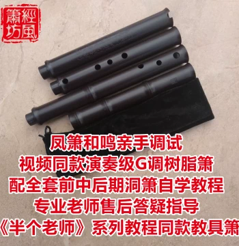 Jingfeng Xiao Workshop Resin Dongxiao Flute - Teaching Instrument for 'Half a Teacher' Video Tutorial Series