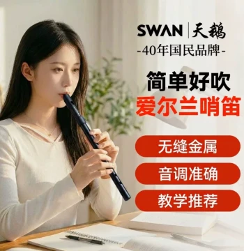 Swan Metal Irish Tin Whistle in D and C Keys - Professional Six-Hole Flute for Beginners and Students