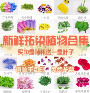 Plant Hammer Dyeing Kit: Fresh Flowers, Greenery, Leaves for Botanical Printing, Rubbing, and Pressed Flower Crafts