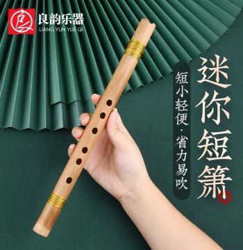 Beginner Xiao Flute, Portable Bitter Bamboo Advanced Short Xiao, Mini Ancient Style F Key Flute for Starters