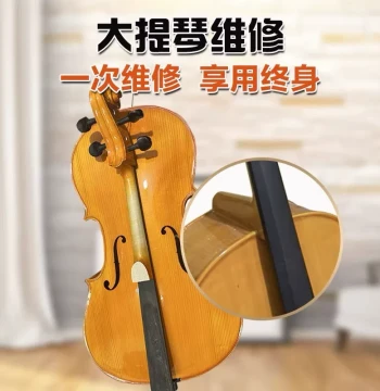 Solid Wood Cello Repair Service: Fix Broken Scroll, Cracked Top Plate, or Body Damage