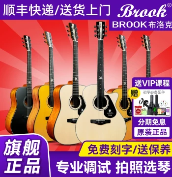 Brook V6 Guitar for Beginners Official Flagship Store Authentic Newcomer Entry Folk Guitar Instrument