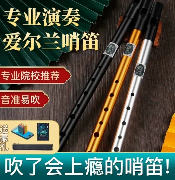 Irish Metal Tin Whistle for Beginners, Professional Performance Soprano Recorder in C or D Key for Students