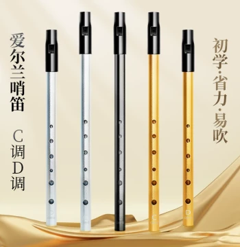 Irish Tin Whistle in C and D, Six-Hole Straight Flute for Elementary Students, Professional High and Low Pitch Recorder for Children