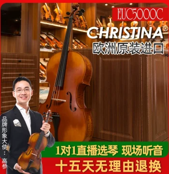 Christina EUC5000C Solid Wood Handcrafted Professional Concert Cello - European Import